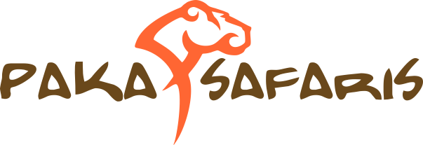 Safari in Kenya | Paka Safaris